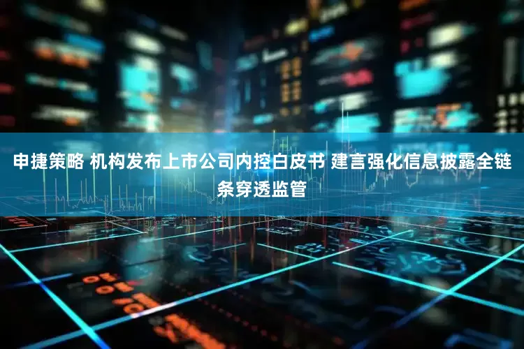 申捷策略 机构发布上市公司内控白皮书 建言强化信息披露全链条穿透监管