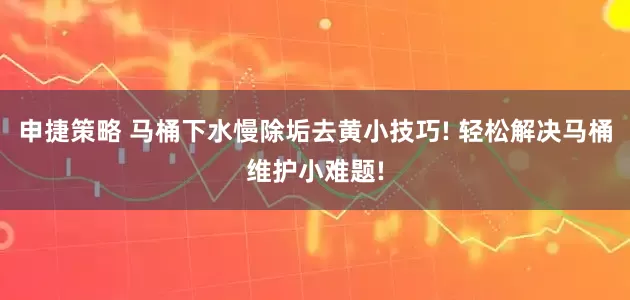 申捷策略 马桶下水慢除垢去黄小技巧! 轻松解决马桶维护小难题!