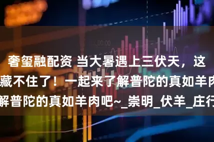 奢玺融配资 当大暑遇上三伏天，这份沪上羊肉地图藏不住了！一起来了解普陀的真如羊肉吧~_崇明_伏羊_庄行
