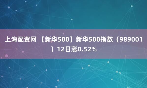 上海配资网 【新华500】新华500指数（989001）12日涨0.52%
